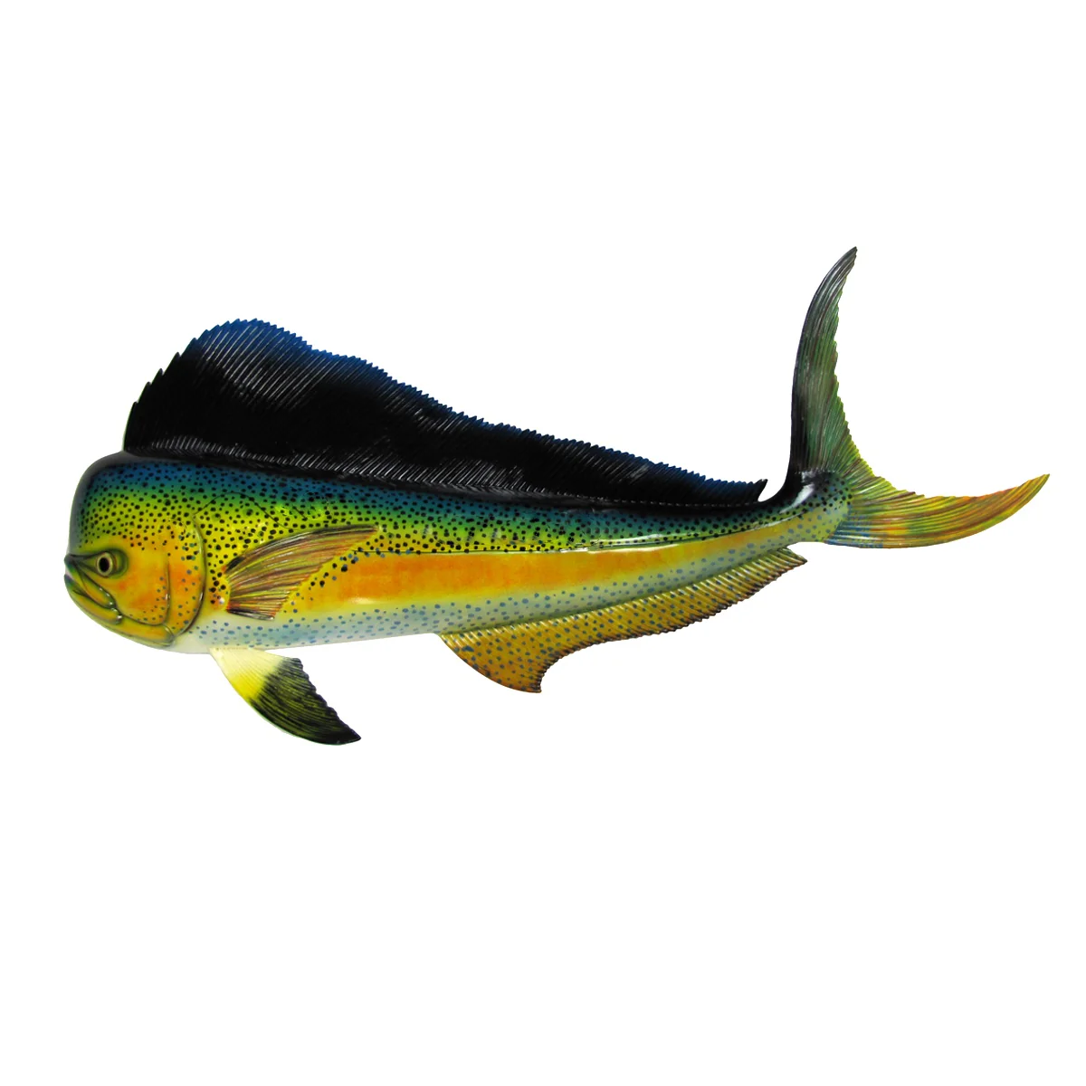 Lifelike 48" Tropical Saltwater Mahi Fish Plaque Wall Mount Art Trophy Taxidermy