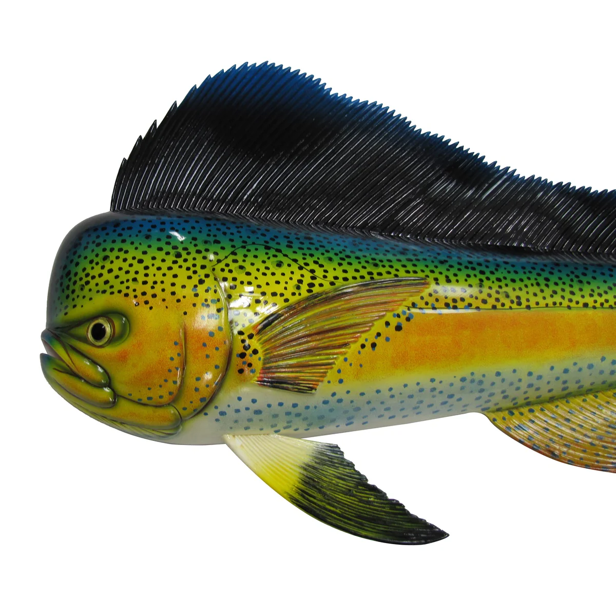 Lifelike 48" Tropical Saltwater Mahi Fish Plaque Wall Mount Art Trophy Taxidermy - Image 5