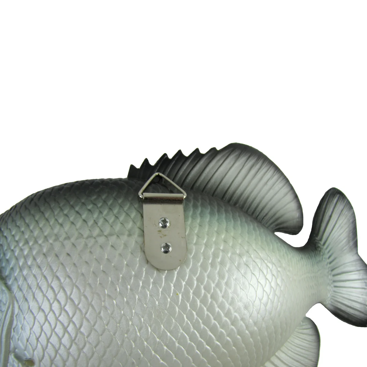 Lifelike Freshwater Crappie Fish Plaque Sunfish Wall Mount Art Trophy Taxidermy - Image 7