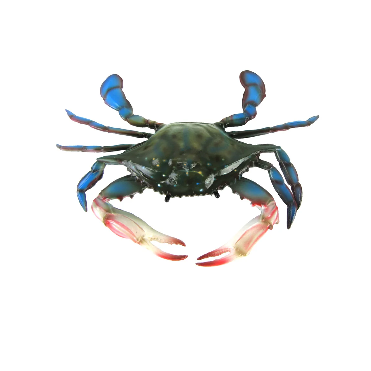 Lifelike Maryland Blue Crab Nautical Plaque Wall Mount Coastal Tiki Bar Decor