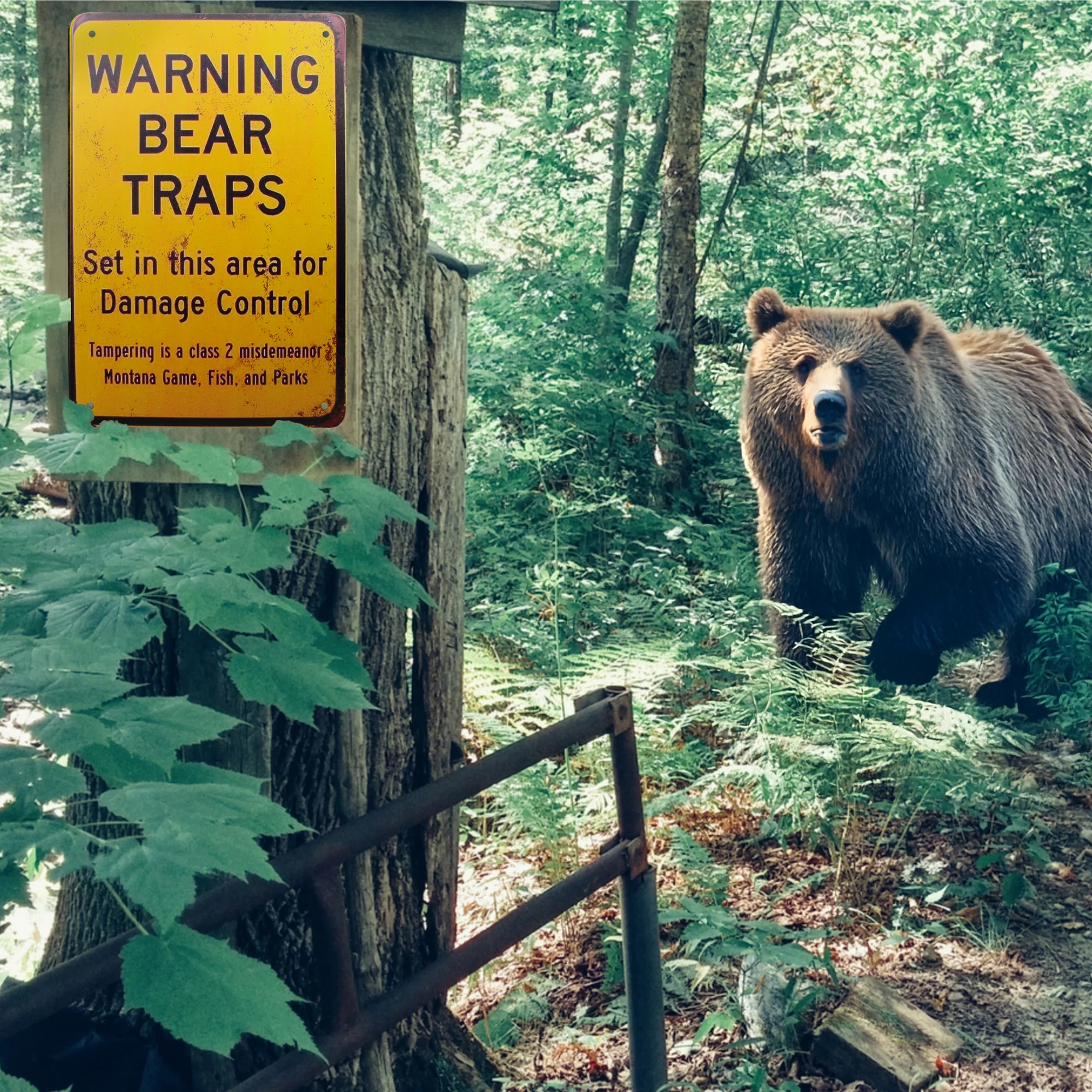 Bear Traps Warning Sign Outdoor Yard Decor Metal Wall Art Hunting Gifts for Men - Image 7