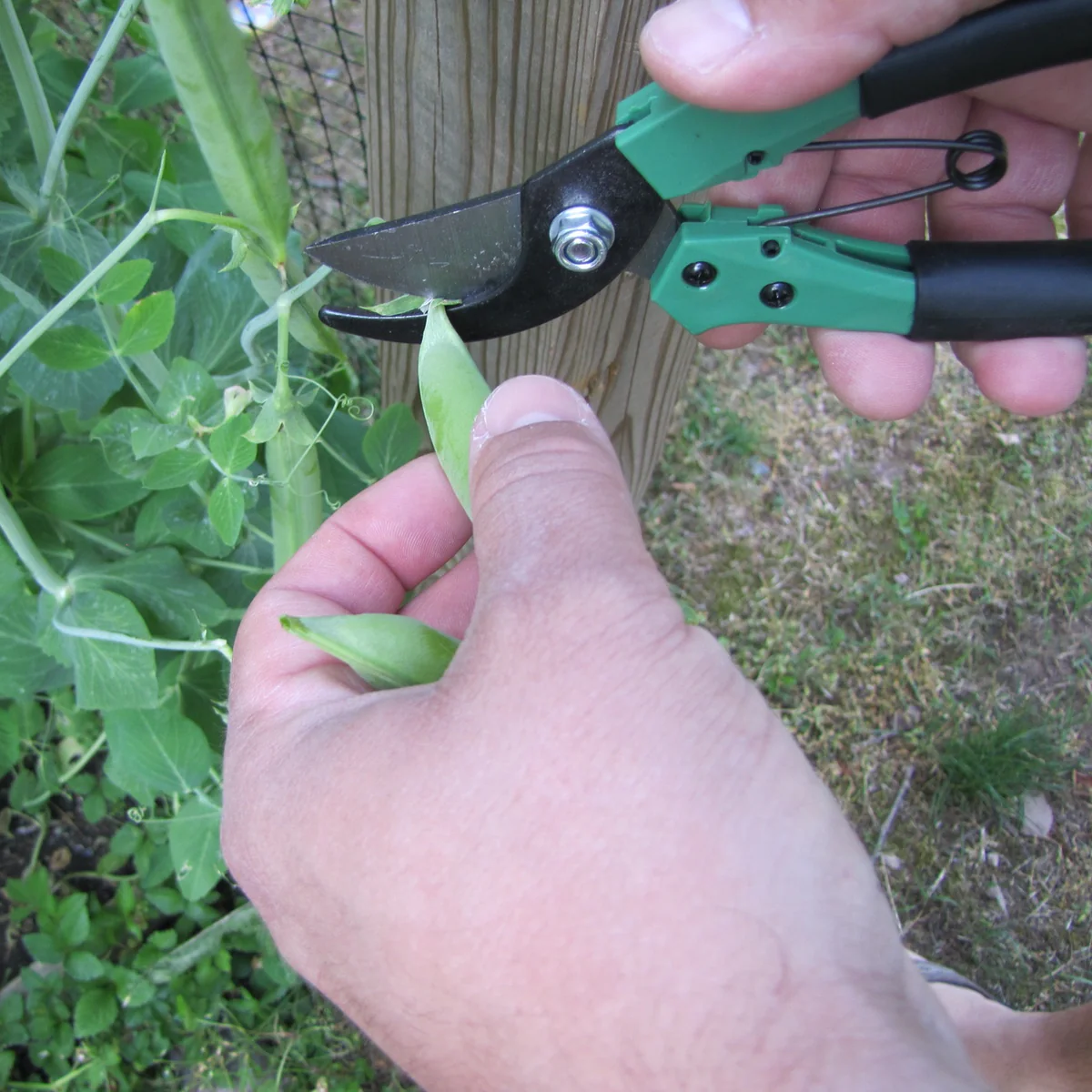 Metal Locking Pruning Shears Yard Clippers Hand Pruners Gardening Tool Trimmers - Image 7