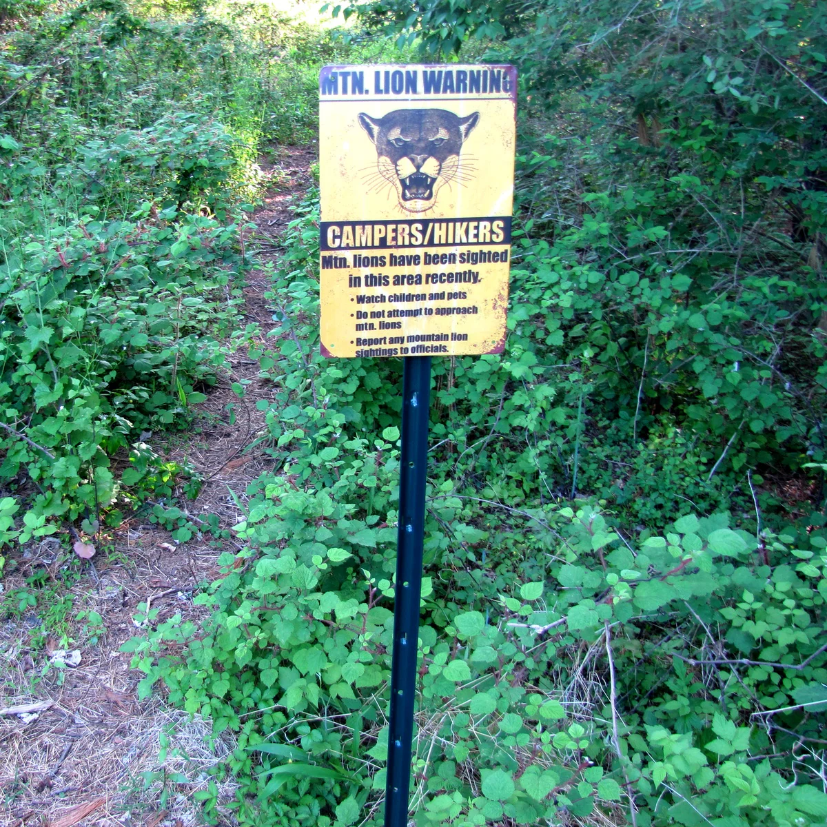 Metal Mountain Lion Warning Sign Metal Wall Art Tin Posters for Yard or Cabin - Image 8