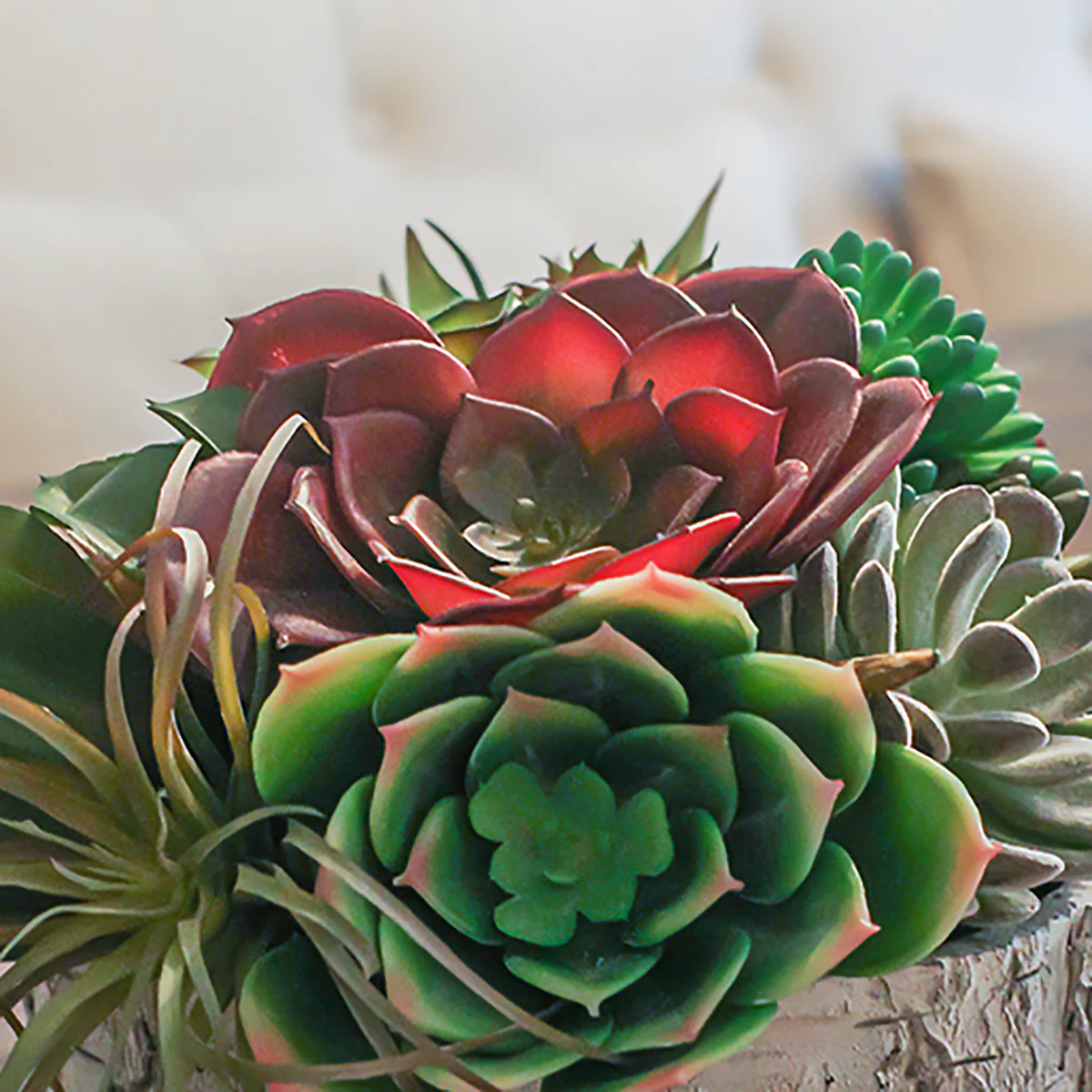 Mini Artificial Succulent Plant Fake Office Desk Garden Plastic Flower Decor - Image 4