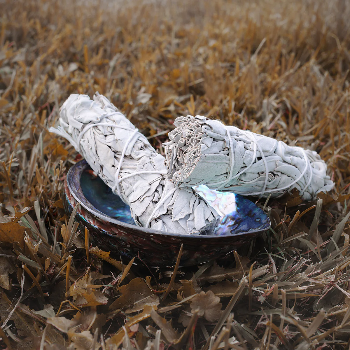 Mini California Sage Bundle Burning and Smudging Wand - Image 2