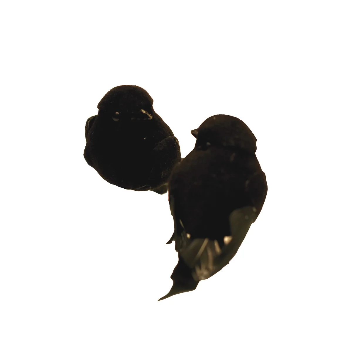 Mini Gothic Black Crows Fairy Garden Miniature Raven Bird House Halloween Decor - Image 3
