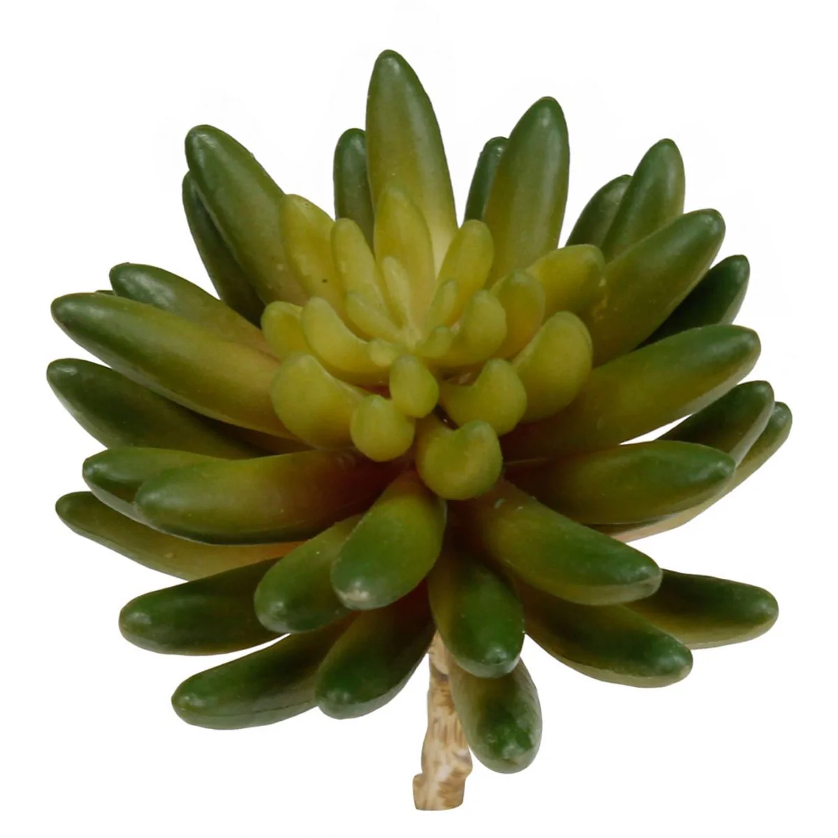 Miniature Artificial Succulent Plant Plastic Floral Garden Desert Flower Decor