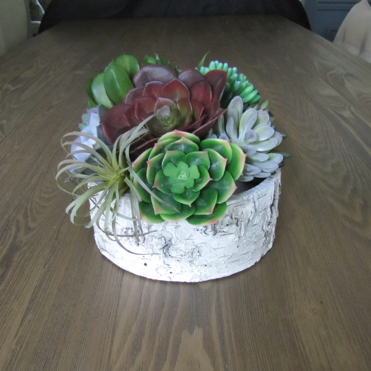 Miniature Artificial Succulent Plant Plastic Floral Garden Desert Flower Decor - Image 2