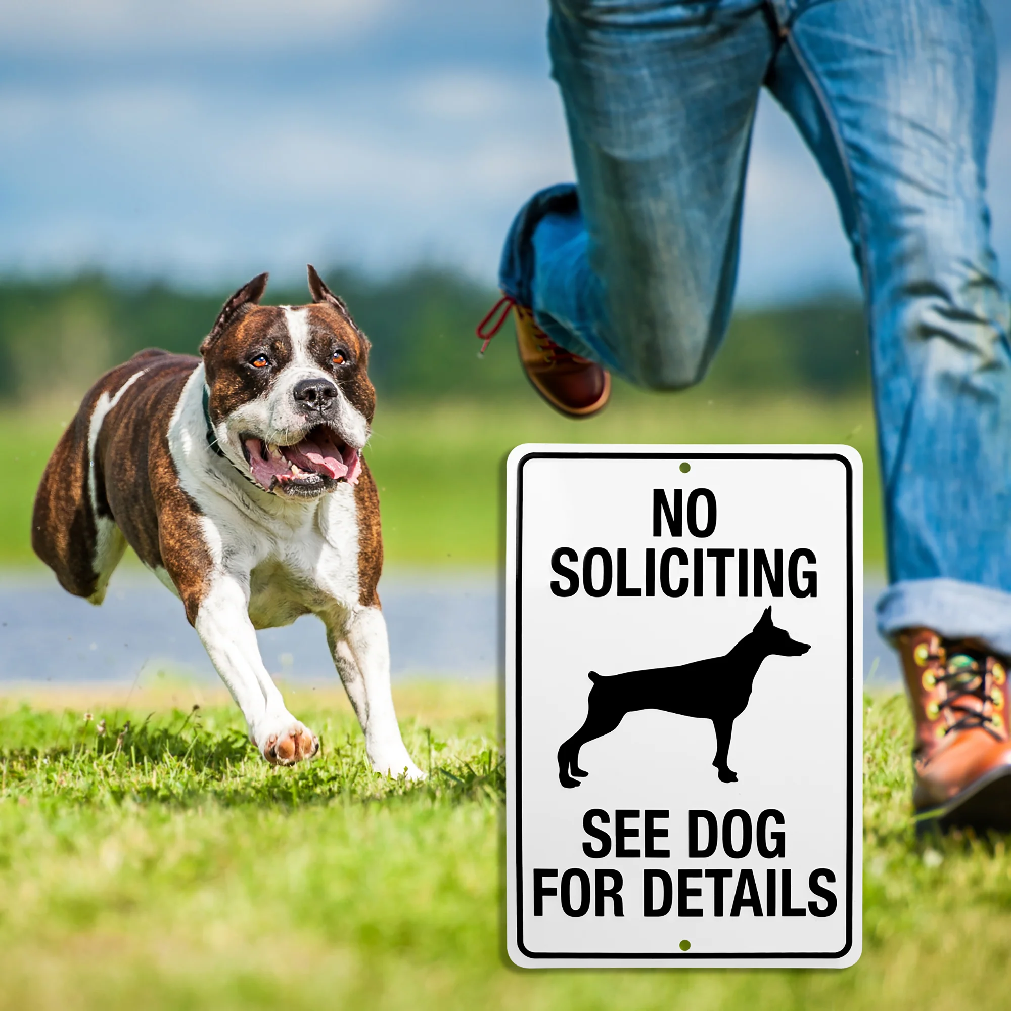 Metal No Soliciting Go Away See Dog For Details Funny Sign Yard Fence Home Decor - Image 7