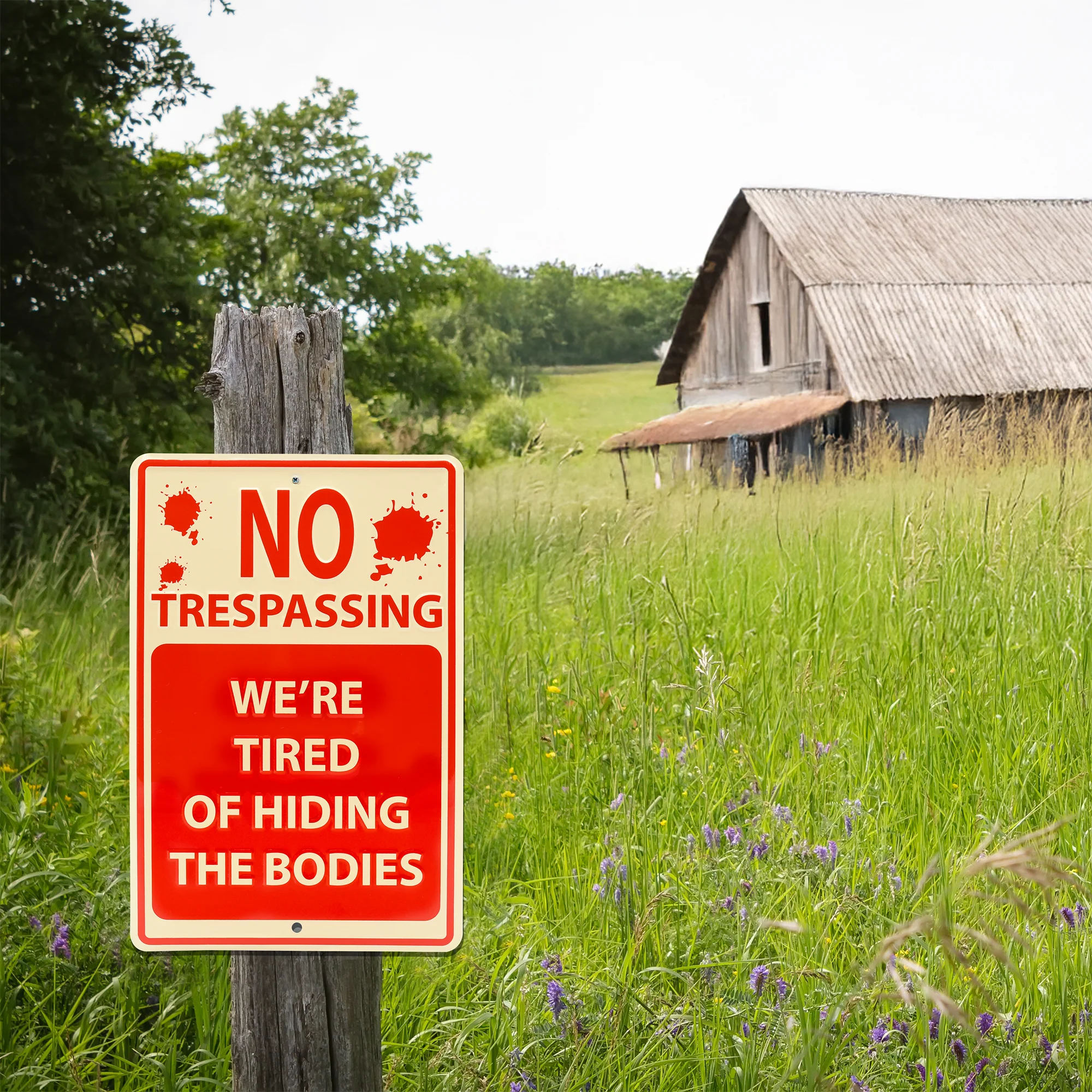 Funny Metal Sign No Trespassing We're Tired of Hiding Bodies Gothic Wall Decor - Image 6