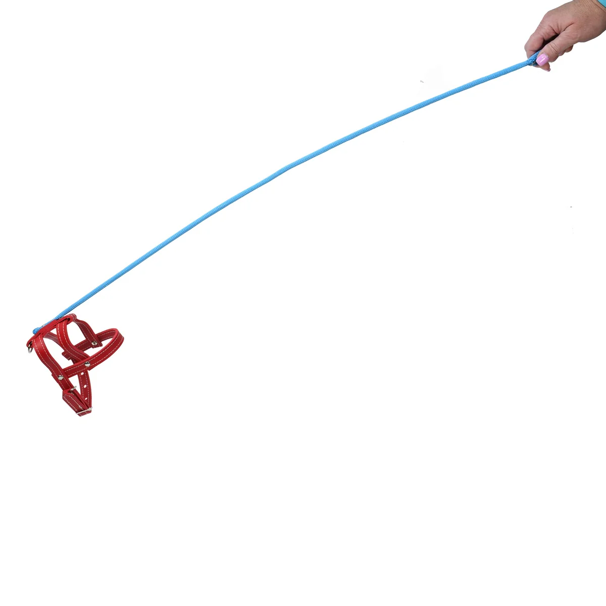 Novelty Invisible Dog Practical Joke Pet Leash Prank Harness Stage Prop Gag Gift - Image 3