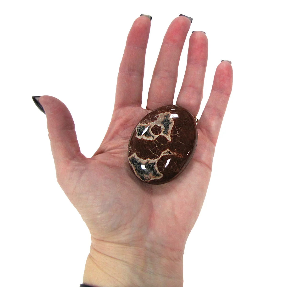 Petrified Wood Stone Reiki Spiritual Heal Rock Energy Balance Meditation Decor - Image 2