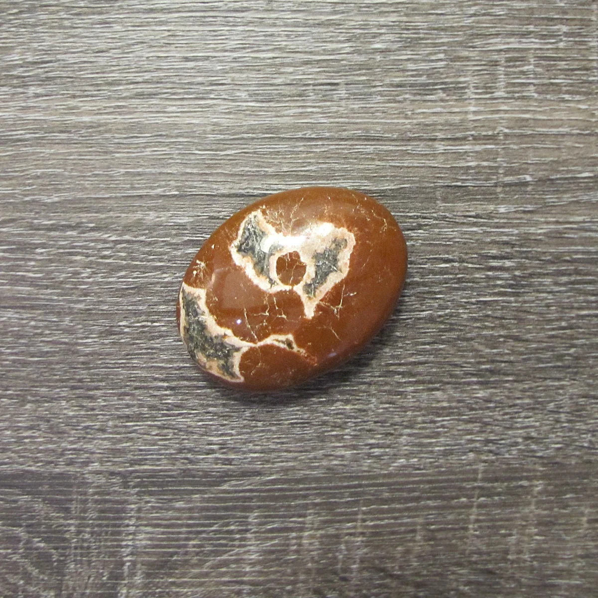 Petrified Wood Stone Reiki Spiritual Heal Rock Energy Balance Meditation Decor - Image 3