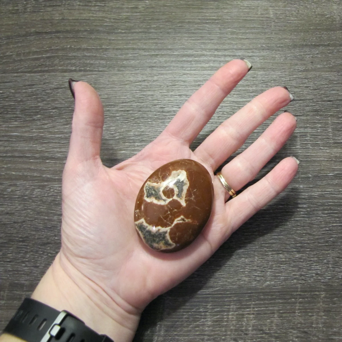Petrified Wood Stone Reiki Spiritual Heal Rock Energy Balance Meditation Decor - Image 4