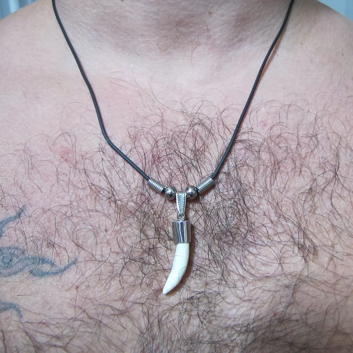 Real Alligator Tooth Necklace Gator Teeth Fashion Chain Tribal Jewelry Pendant - Image 5