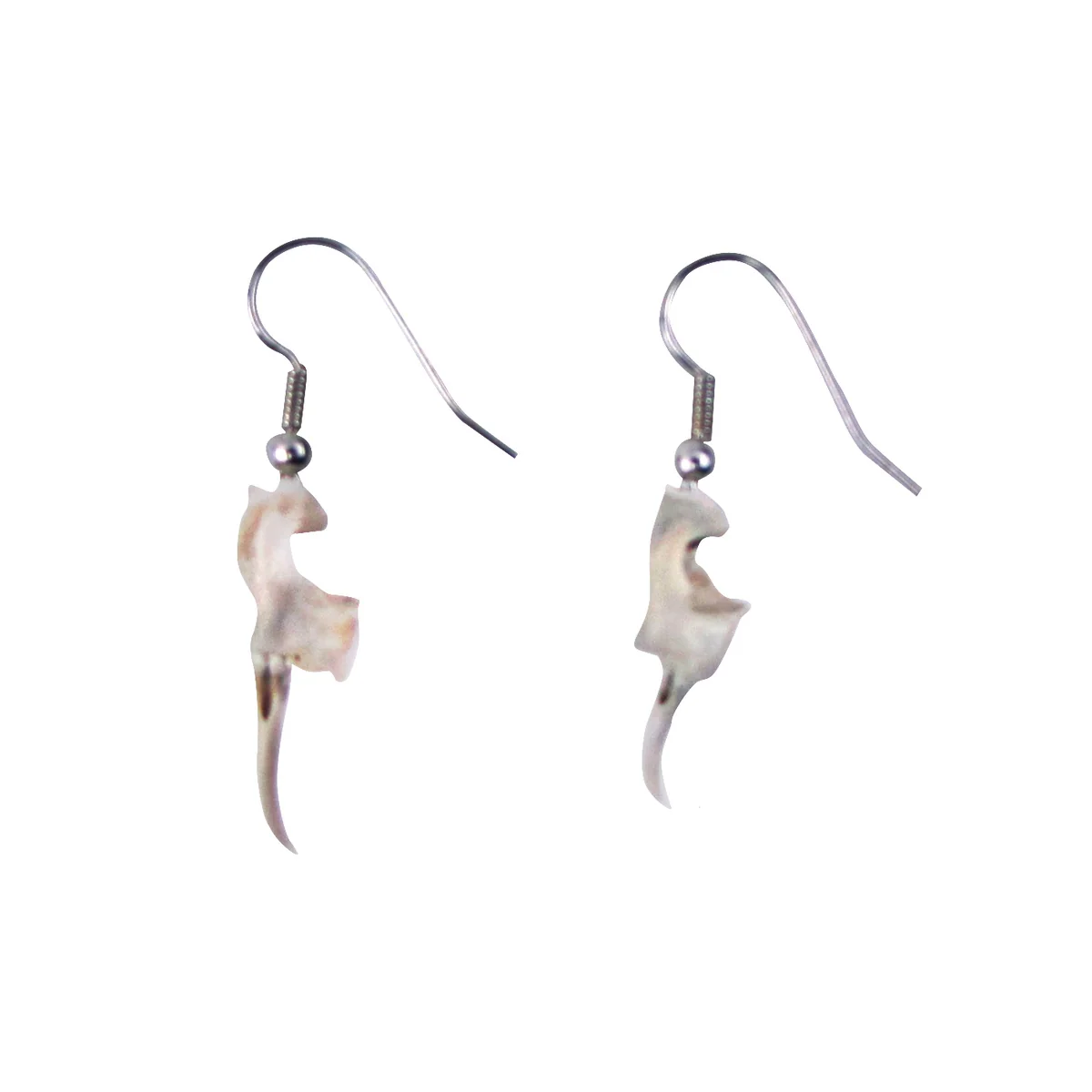 Real Rattlesnake Fang Teeth Earring Set Snake Tooth Tribal Fashion Jewelry Gift