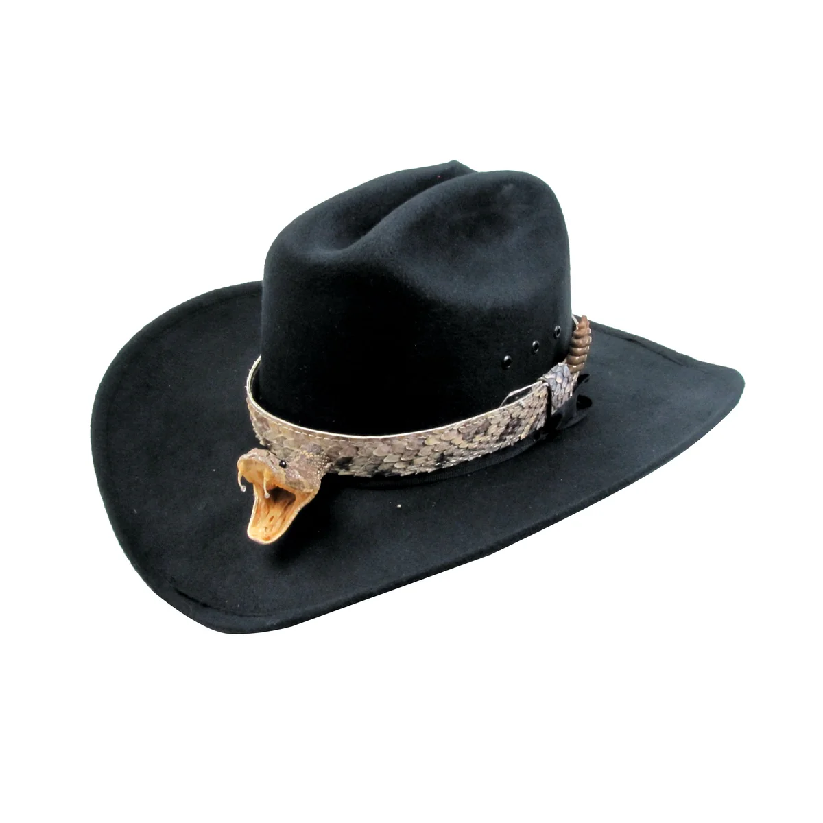 Real Rattlesnake Head Skin Western Cowboy Hat Band Wrap Genuine Snake Taxidermy - Image 2