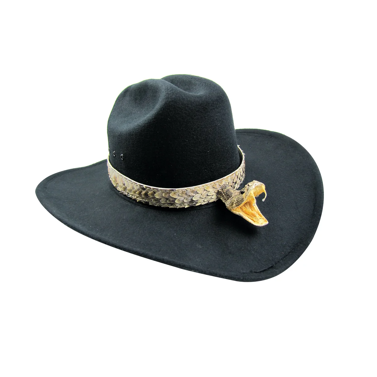 Real Rattlesnake Head Skin Western Cowboy Hat Band Wrap Genuine Snake Taxidermy - Image 4