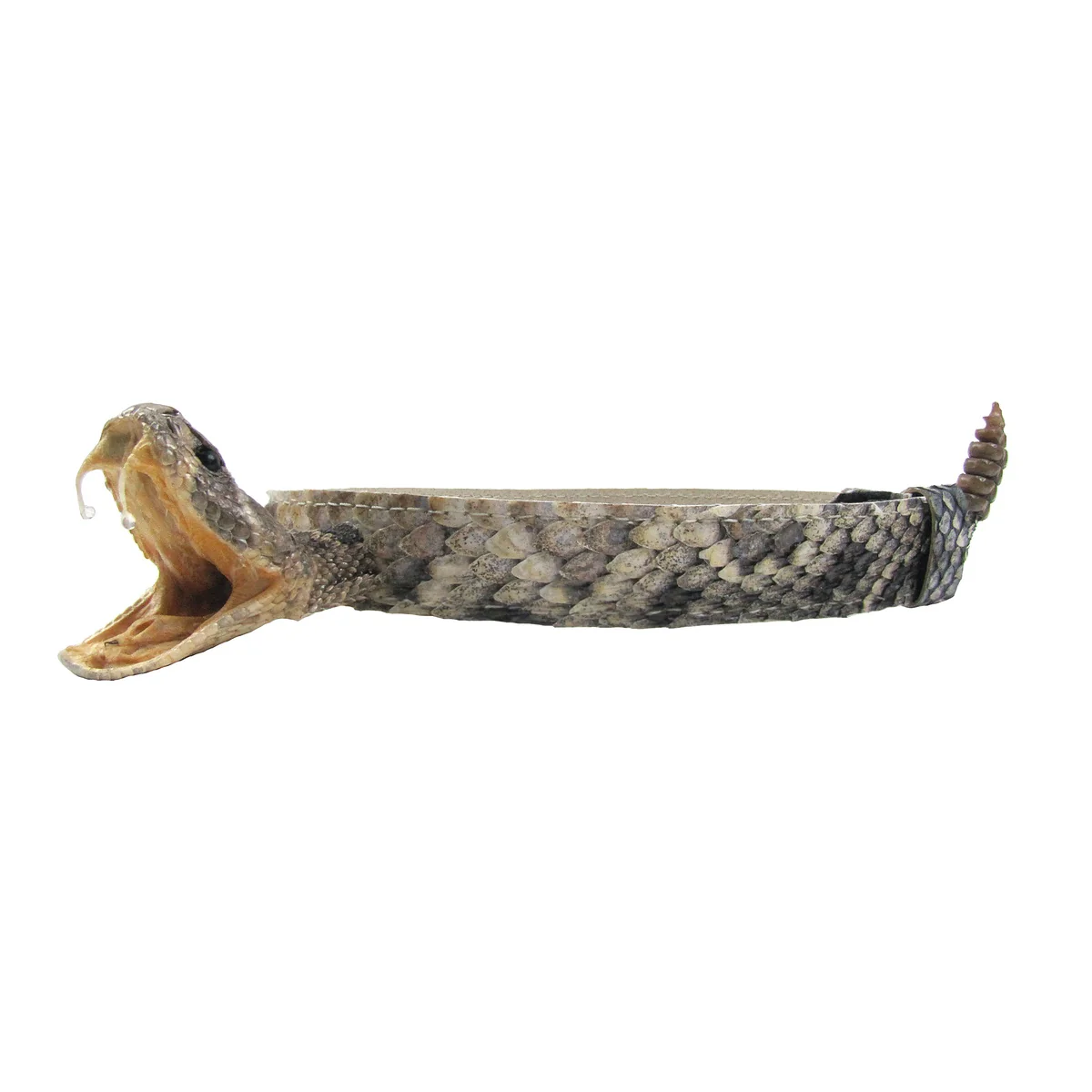 Real Rattlesnake Head Skin Western Cowboy Hat Band Wrap Genuine Snake Taxidermy - Image 5