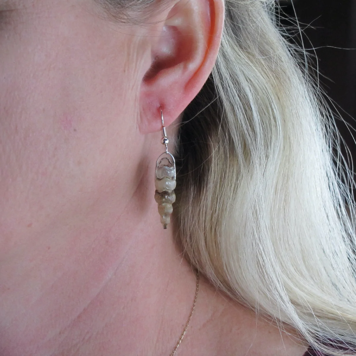 Real Rattlesnake Tail Drop Earring Set Genuine Snake Tribal Jewelry Fashion Gift - Image 4