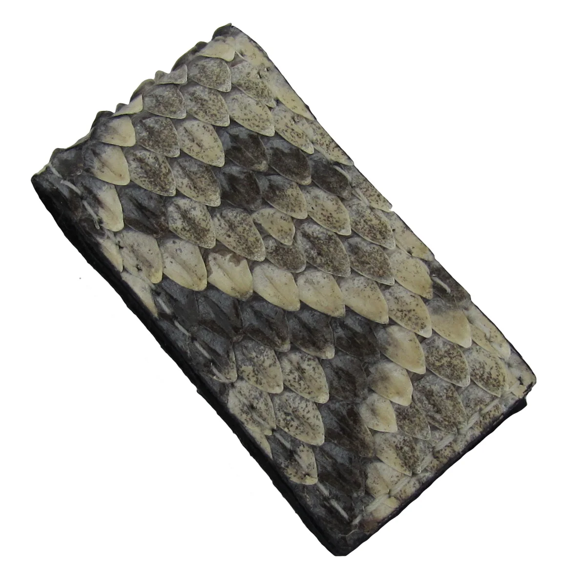 Real Rattlesnake Taxidermy Money Clip Genuine Snake Skin Mens Wallet Card Holder