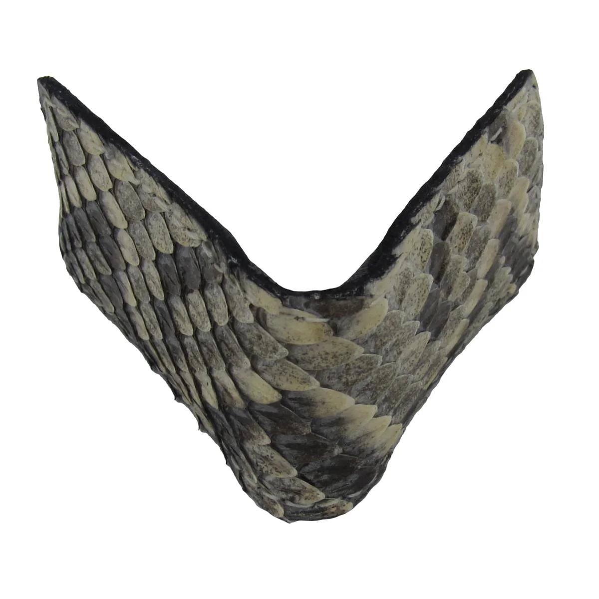 Real Rattlesnake Taxidermy Money Clip Genuine Snake Skin Mens Wallet Card Holder - Image 2