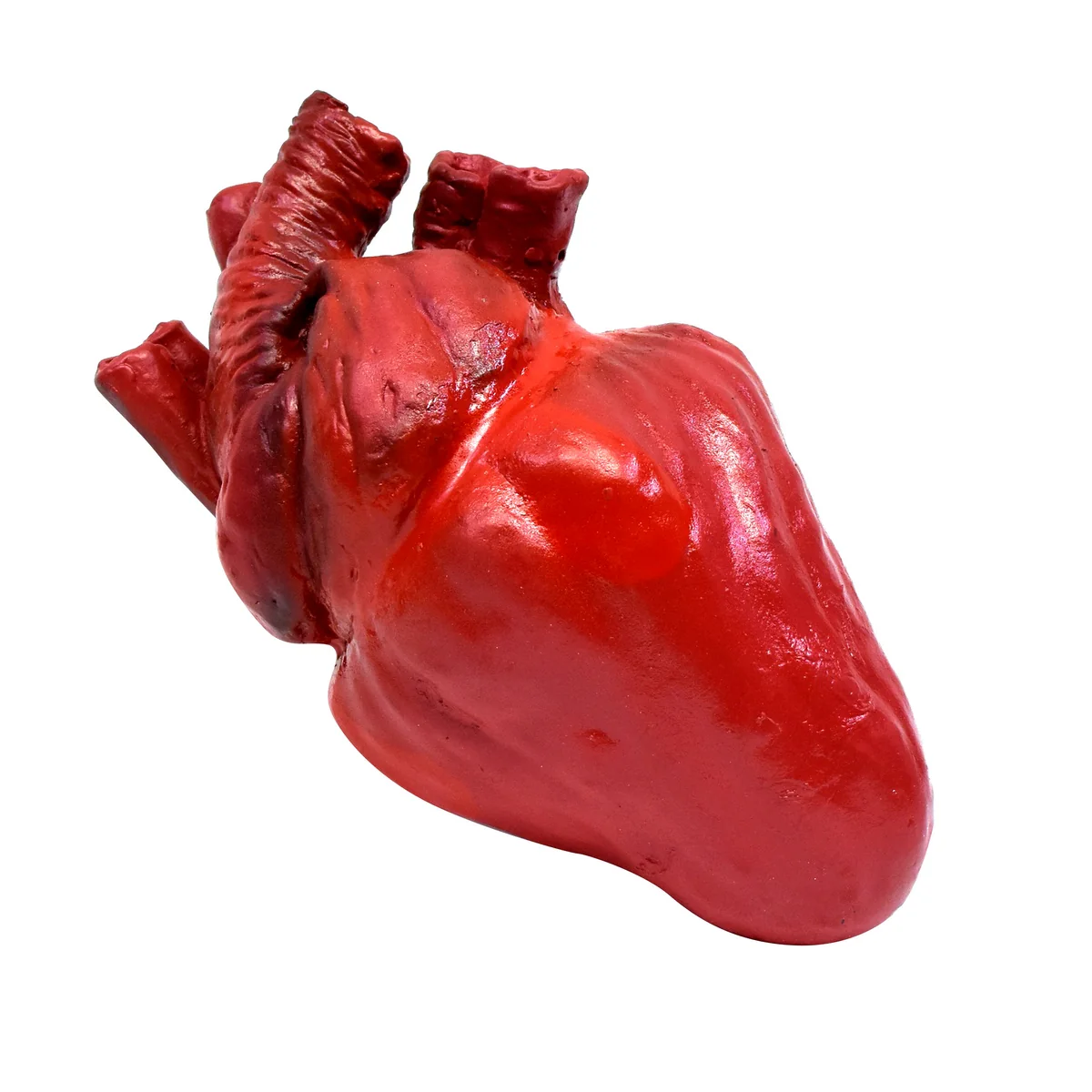 Realistic Human Heart Scary Haunt House Prop Halloween Horror Costume Accessory