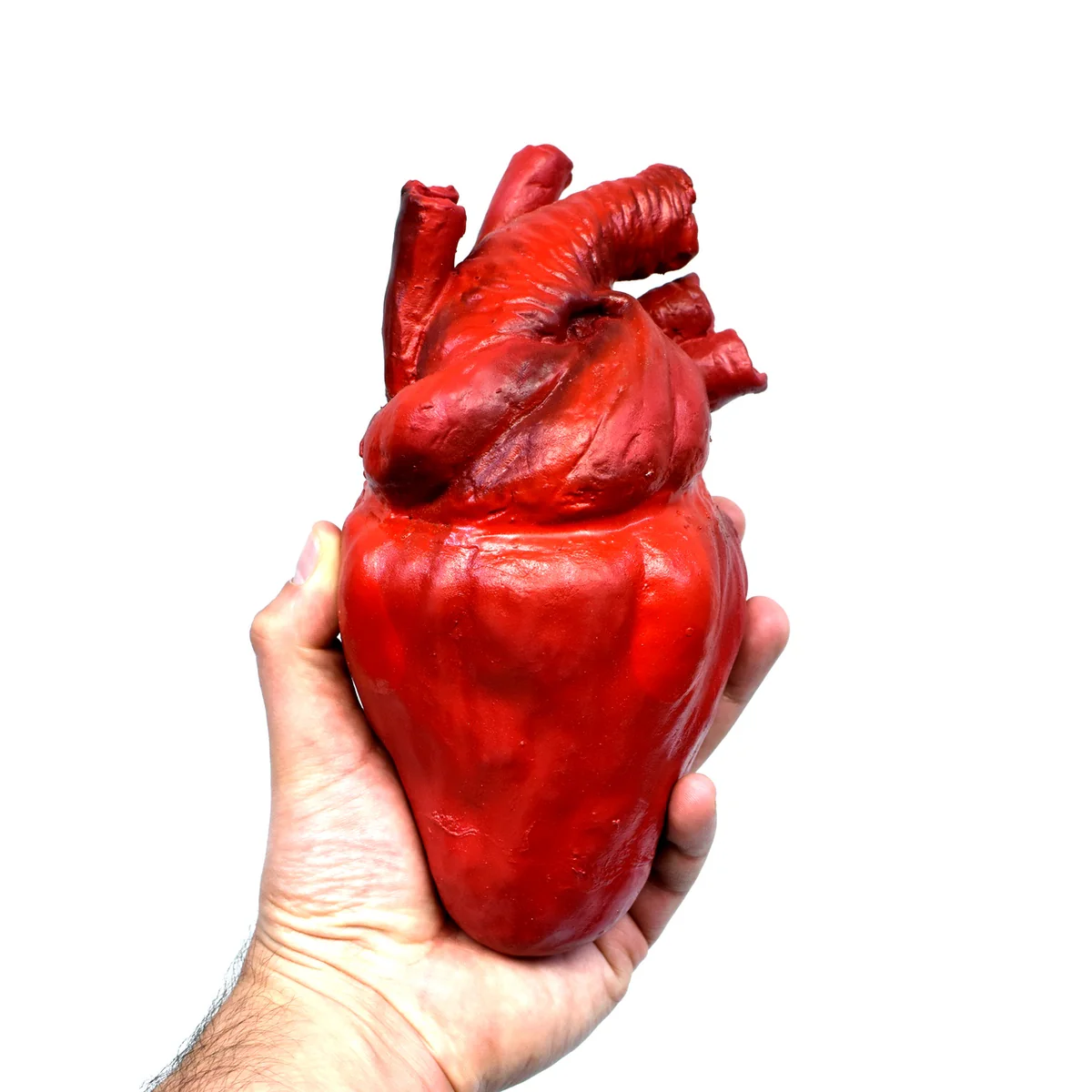 Realistic Human Heart Scary Haunt House Prop Halloween Horror Costume Accessory - Image 3