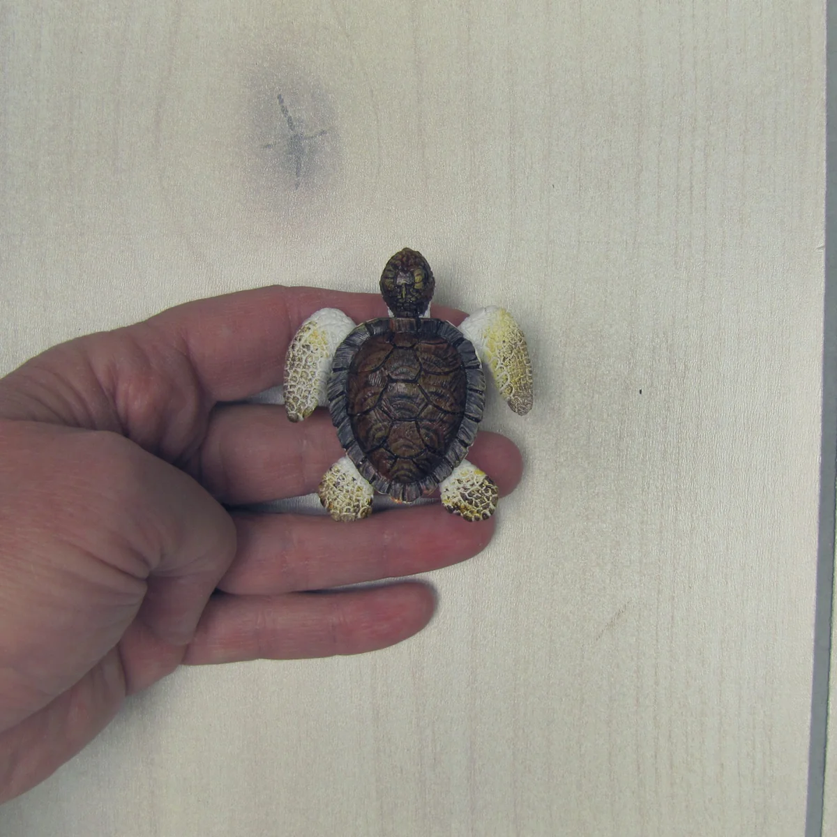 Sea Turtle Drawer Pull Screw Knob Cabinet Hardware Nautical Beach House Decor - Image 4