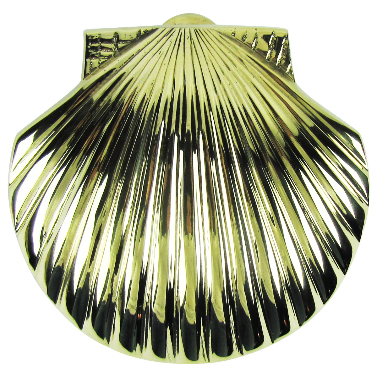 Solid Brass Scallop Shell Sea Life Door Knocker