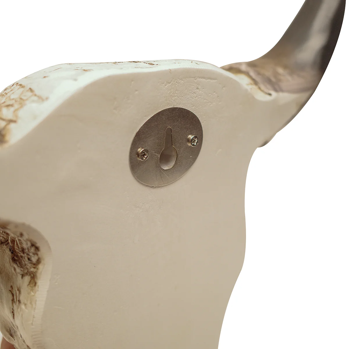 Southwestern Tooled Animal Skull and Horns Wall Art - Image 5
