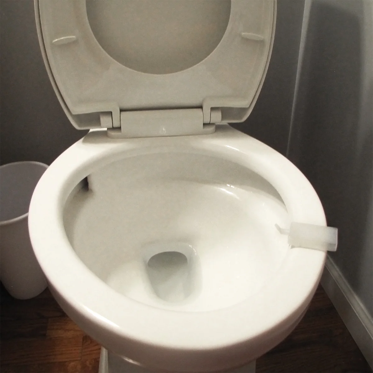 Toilet Seat Water Squirt Prank Funny Practical Joke Bathroom Novelty Gag Gift - Image 3