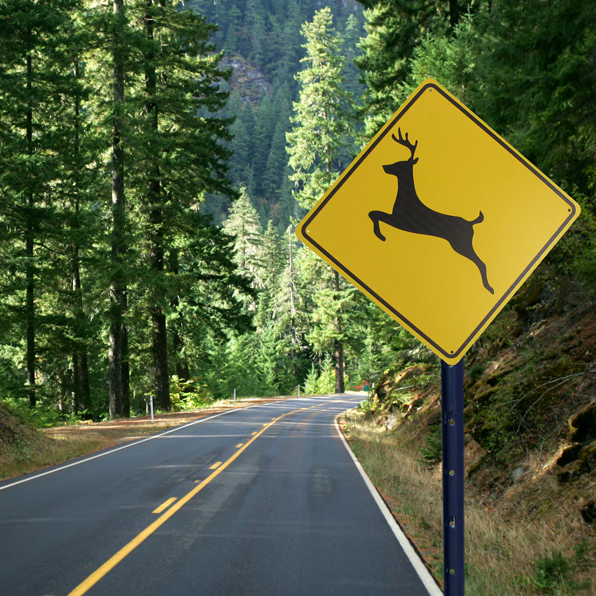 Warning Deer Crossing XING Road Street Caution Sign Rustic Man Cave Wall Decor - Image 4