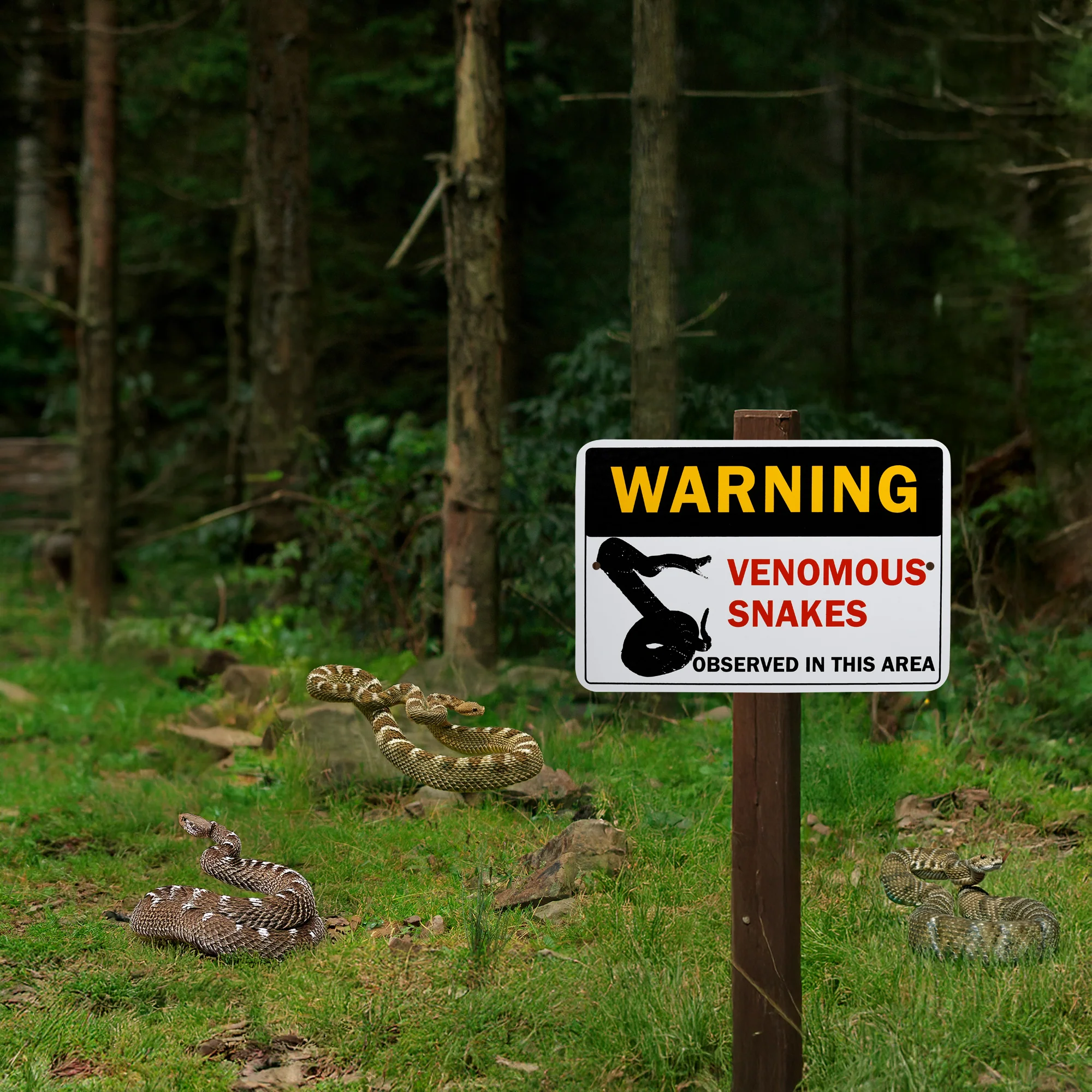 Metal Warning Venomous Snakes Caution Sign Outdoor Wall Decor Fence Trail Home - Image 7
