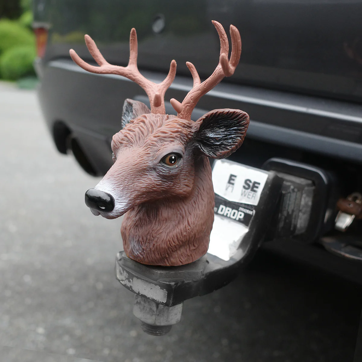 Whitetail Deer Buck Trailer Hitch Ball Cover - Image 4