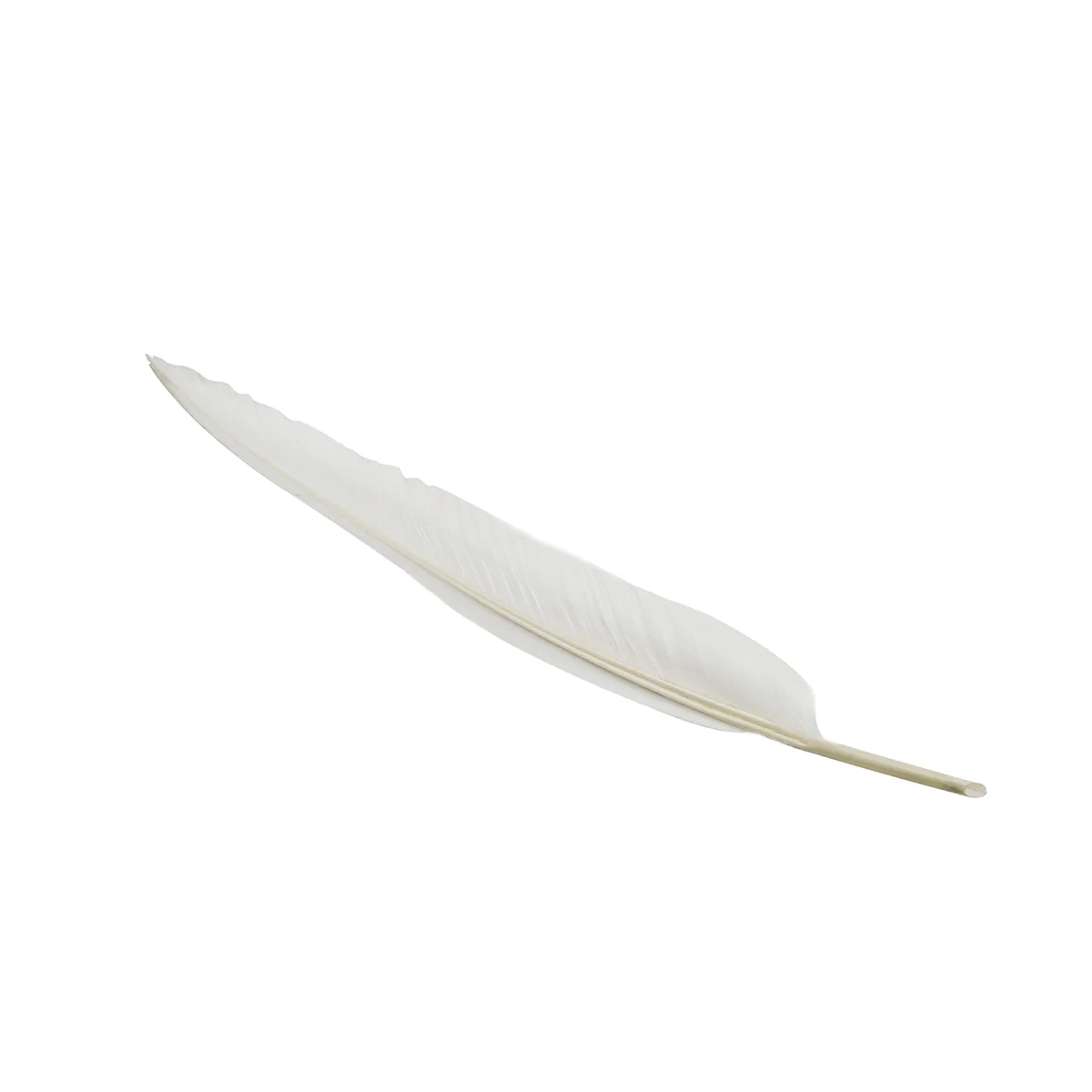 Wing Feather Inkwell Desk Dip Pen w/Nib- Antique White