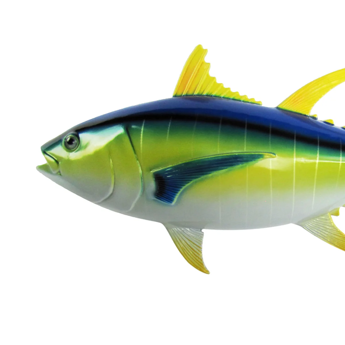 Yellowfin Tuna Saltwater Trophy Fish Taxidermy Hand Paint Lifelike Wall Plaque - Image 5