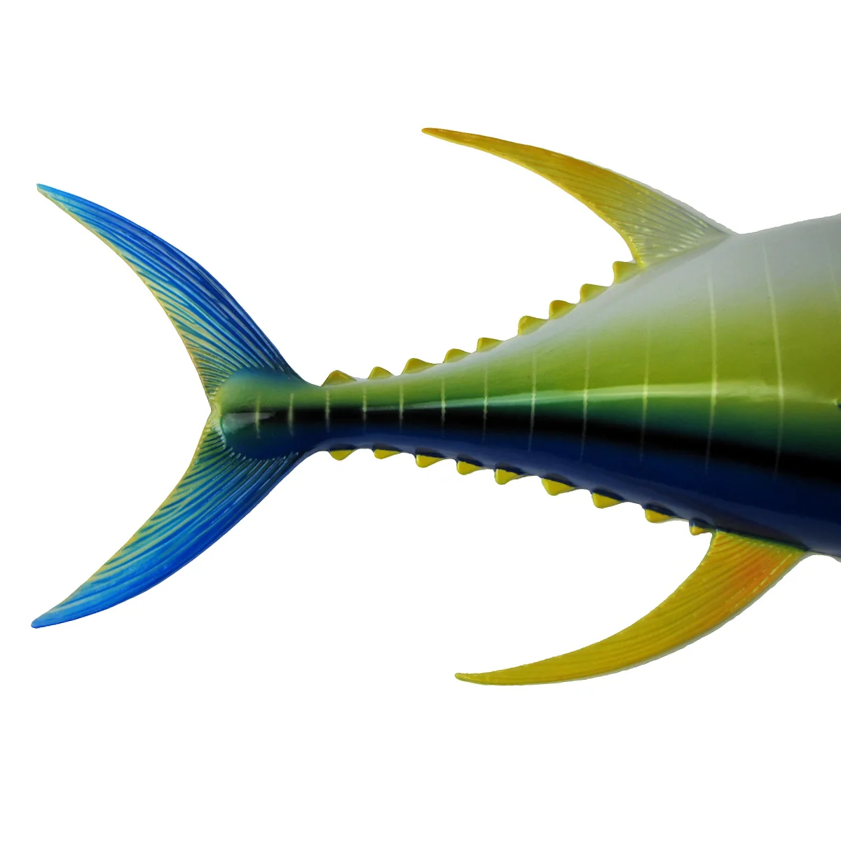 Yellowfin Tuna Saltwater Trophy Fish Taxidermy Hand Paint Lifelike Wall Plaque - Image 6